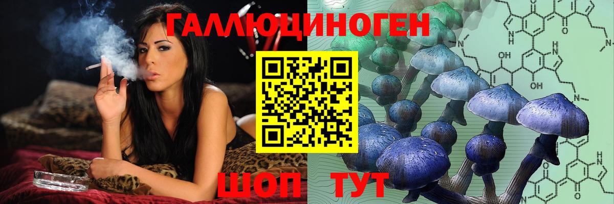 Псилоцибиновые грибы прущие грибы  Вход с VPN  Чита 